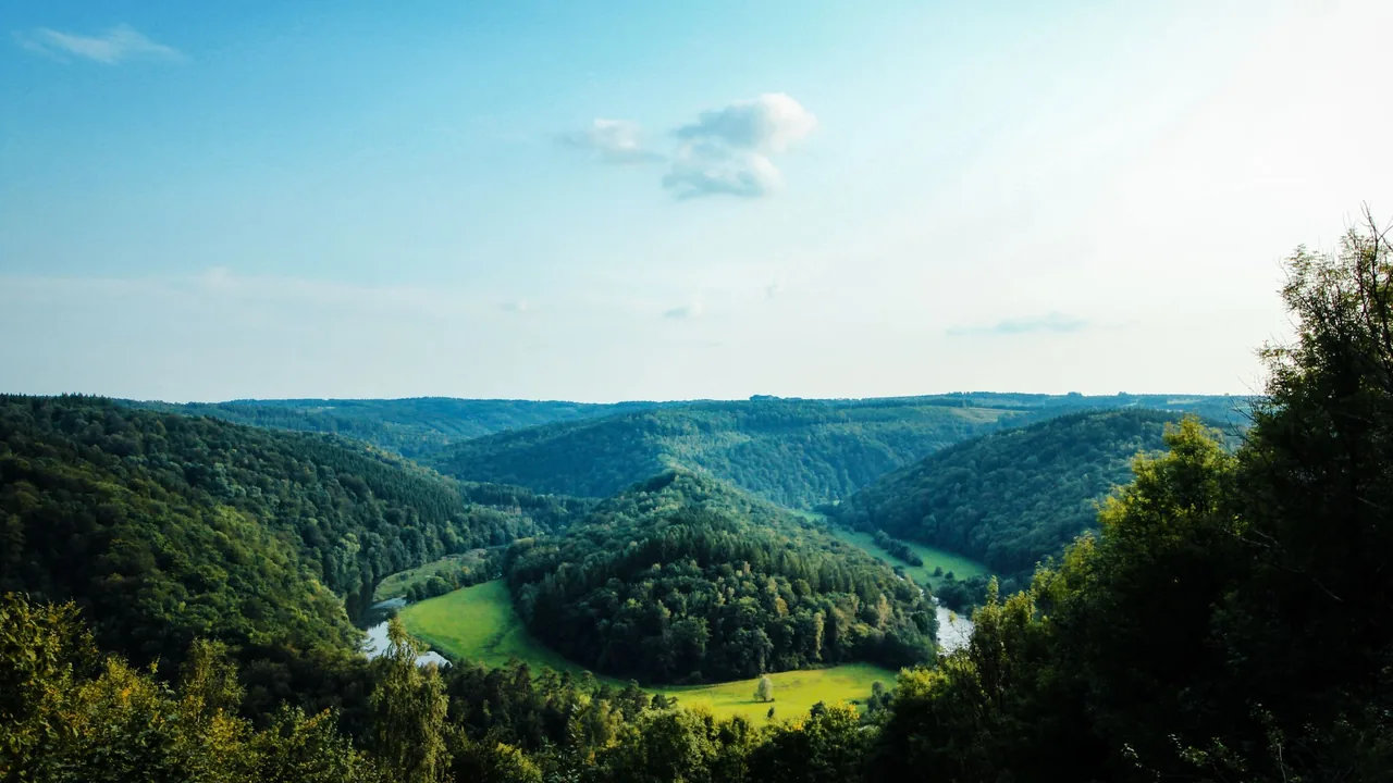 Vallée boisée en Wallonie sous un ciel d'été